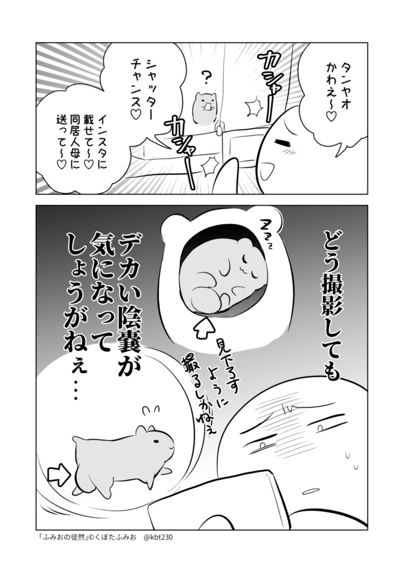 人に見せづらい　#ふみおの徒然 