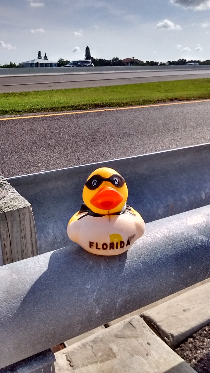 nomadducks's tweet photo. this little #guy is hitting the open road I hope he has #fun on his #adventure #rubberduck #USA safe #Travel my #friend https://t.co/BO9swRJRbT