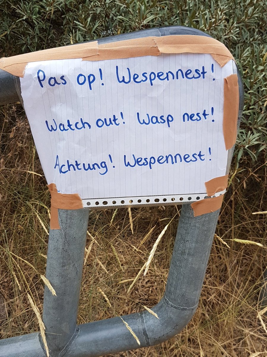 Strandpost60's tweet image. Pas op bij Duinopgang 29 #Breskens (thv @Roompot park en @HalveMaentje)! Er zitten diverse wespennest in de armleuningen.

Bestrijders zijn gebeld. Houd afstand. Gestoken? De EHBOpost bevind zich aan de strandzijde van de opgang.