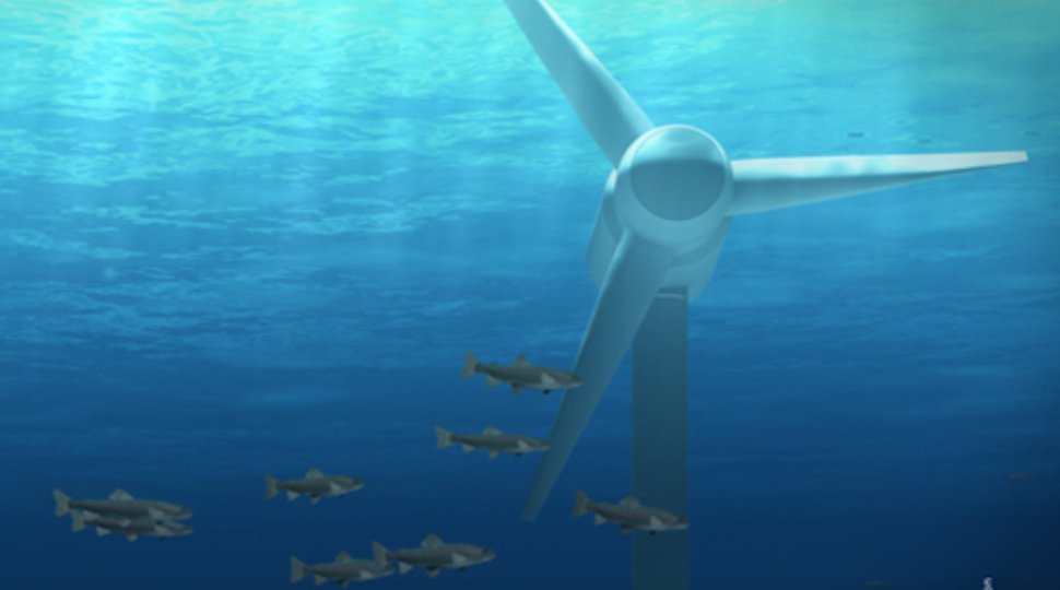 _lemarin's tweet photo. #EMR #tidal #OpenHydro #Cherbourg #Normandie Arrêt de l’hydrolien chez @navalenergies : le @gouvernementFR pointé du doigt https://t.co/4TRQh8DnYC https://t.co/O8U2s8rAdy