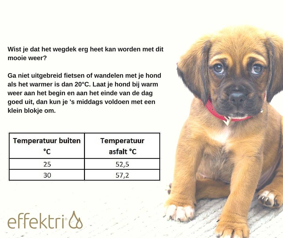 Effektri Omega 3 tweet media