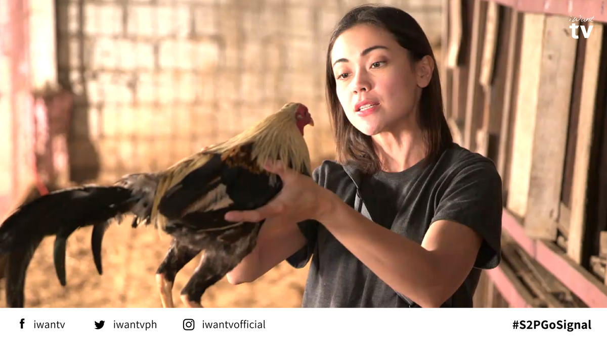 ofc_iwant's tweet photo. Muling binalikan ni Mona ang dati niyang buhay upang mapabagsak si Mr. Supapi. πππiWant #S2PGoSignal Episode HERE π https://t.co/I7TM4CBmCD @ABSCBN @StarCreativesTV @nalilitwo @JodiStaMaria @ImRichardYap08 @RobinPadillaFC https://t.co/cALrK7snWZ