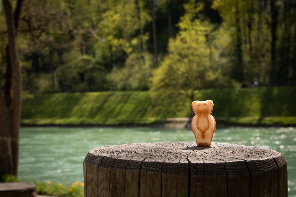 Mandelbaerli's tweet photo. Bei diesen Temperaturen gibt es nur eins: Ab ad Aare! Wer ist dabei? 😎☀️
#mandelbärli #madeinbern #bern #aare #fit #schwimmen #aareböötle

📷: https://t.co/jIGDUbbjKs / https://t.co/HpIhPPr0Kq https://t.co/LnBfEOztCi