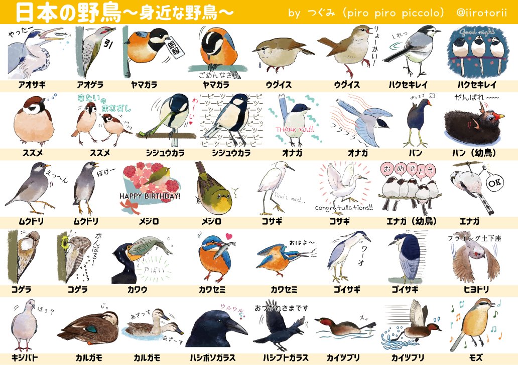 تويتر 𝚙𝚒𝚛𝚘 𝚙𝚒𝚛𝚘 𝚙𝚒𝚌𝚌𝚘𝚕𝚘 على تويتر 名前知りたい とのご要望いただきましたので 日本の野鳥lineスタンプの鳥の名前をまとめました 描き直したい けど直せない もの多々あるので広 い心で見て T Co Tqho1skg76