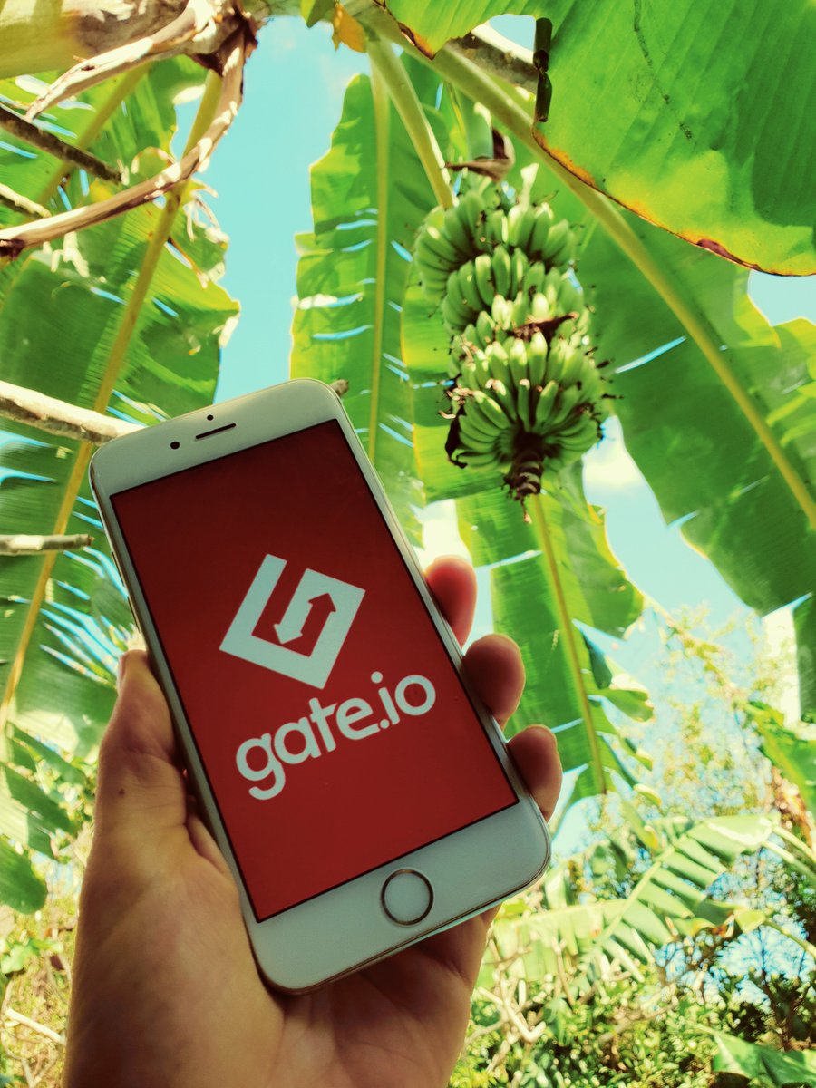 SergioWtfck's tweet photo. Bali bananas with @gateio &amp; @tezos #gateio #tezos #holidays https://t.co/LvACpuoWko