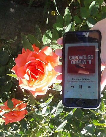 OᗡNOW ˥I Oƃ˥OΛOԀ∀Ͻ da Olbia e TU?
Sognare in grande non costa nulla, ma per farlo in due serve una grande fiducia ed un pizzico di sana follia #capovolgoilmondo
ACQUISTA o ASCOLTA QUI ⤵️
believe.lnk.to/CapovolgoIlMon…