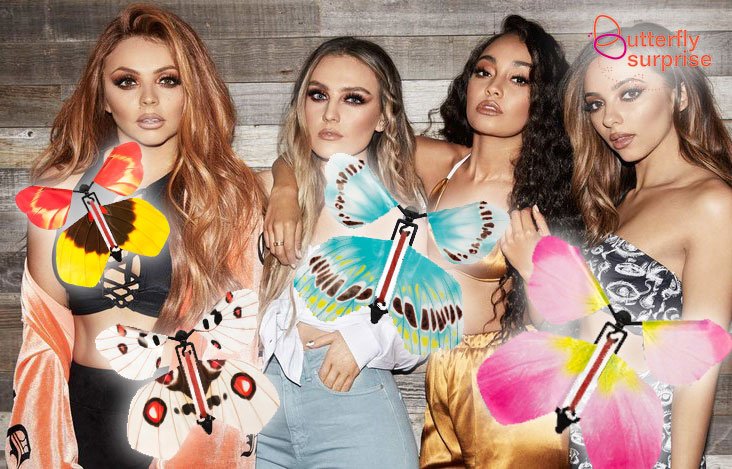 BFlySurprise's tweet photo. We hope you all enjoy Little Mix tonight at the Falkirk Stadium  😍🎶🎵
Buy our 'little mix' of Butterfly Surprises here: https://t.co/GGHsIhgF8h

#LittleMix #Falkirk #ButterflySurprise https://t.co/3KdNQv5EqB