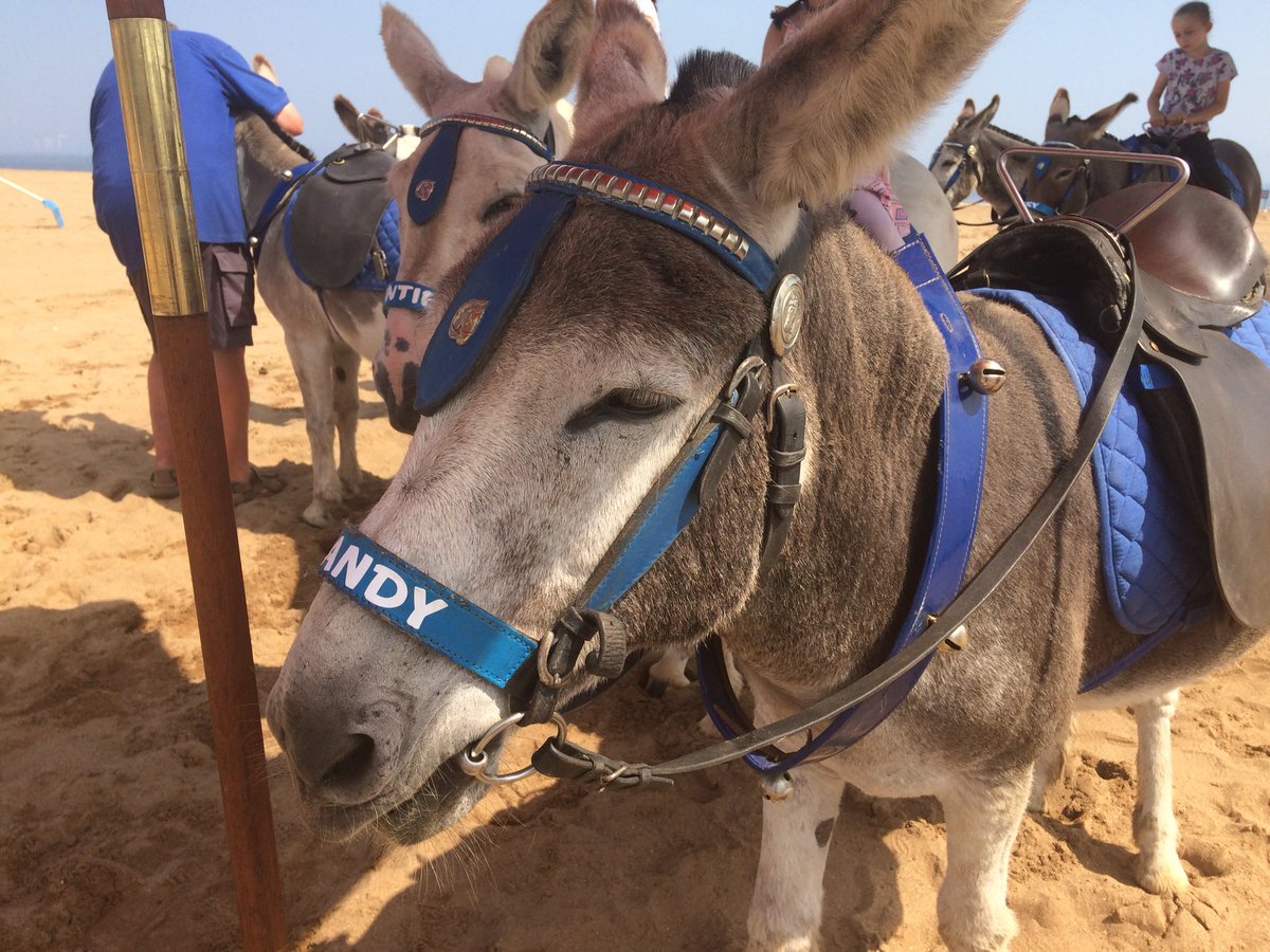 A Facebook post complaining that donkeys in Skegness are out in the heat has had over 30,000 shares. The owners say they are well cared for. <a href="/looknorthBBC/">BBC East Yorkshire</a>