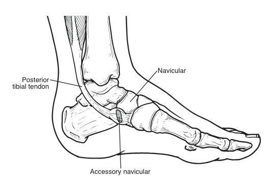 ReadingHip&KneeUnit tweet media