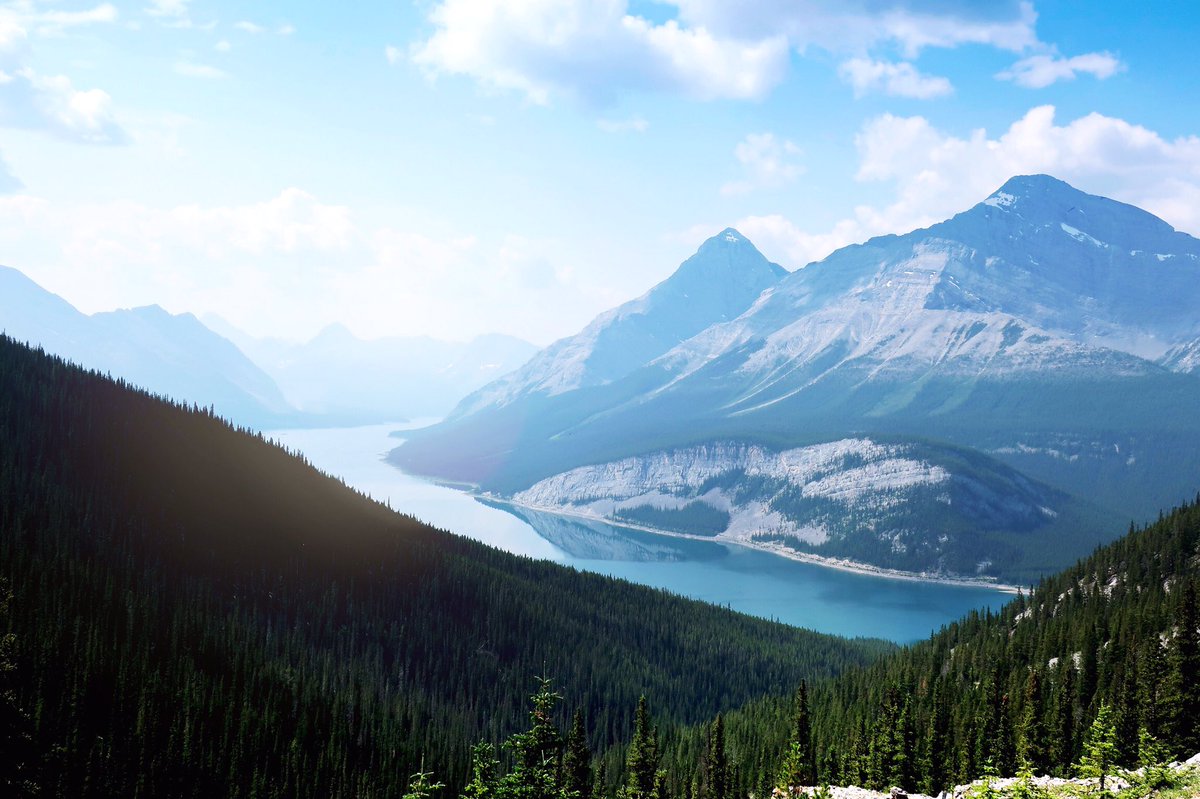 Sdriegel's tweet photo. Donโt mind the view at West wind pass. ๐จ๐ฆ #abhike #canadianrockies https://t.co/S3wPxWKIk8
