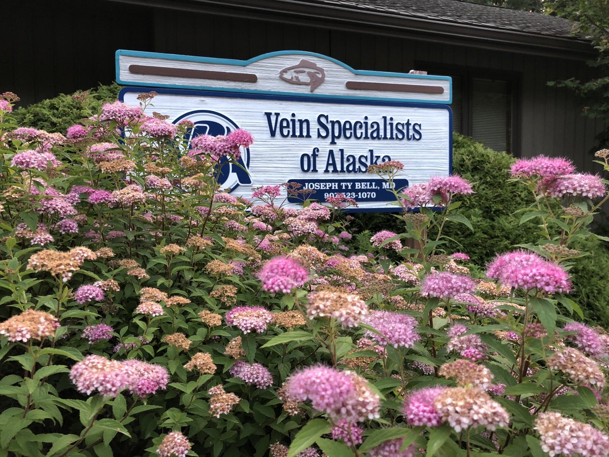 VeinsAlaska's tweet photo. Our Juneau Office is looking fantastic with all these flowers and gorgeous weather! https://t.co/XYHw1l0Q7k