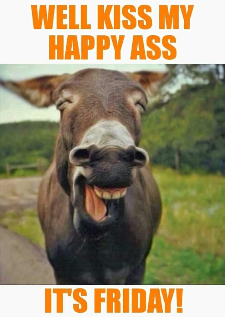 It's Friday everyone <a href="/LeeAnneLocken/">LeeAnne Locken</a> <a href="/dandrasimmons/">D'Andra Simmons</a> <a href="/NFW22b/">Marie</a> <a href="/APabloIsForever/">Pablo ✨Pabs✨</a> @cuttinghossfan @DarblesM <a href="/linablue/">Caroline 🌈💞🇺🇲🇨🇮🇬🇧</a> @reikimasterkim <a href="/chickiepox/">Not1regret</a> <a href="/collinsp1960/">Nana Patti</a> <a href="/tina_tmjohns520/">TT</a> <a href="/neilk1/">TeamGina UK Official</a> <a href="/ksage10/">Kelly Sage</a> @wetbulldog <a href="/DebbieHelfrich1/">Debbie Helfrich1</a> <a href="/DrJamesMercer/">Dr. James W. Mercer</a> <a href="/BrandiRedmond/">Brandi Redmond</a> <a href="/KamWestcott/">💗 Kameron Westcott 💗</a> 💟💛😙💛💟😙🎀