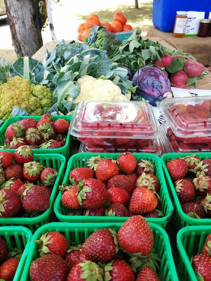 ManFarmersMKT's tweet photo. Hey #Ottawa! Join us this Saturday from 8am til 2pm as the new #Manotick Farmers and Makers Market welcomes @FosterFamFarm,  @Batch613, @WatsonsMill bread &amp; flour, @liftflavours and more! While you're here check out Art in the Square and make a day of it! Hope to see you here! https://t.co/UNfFWcn5sG