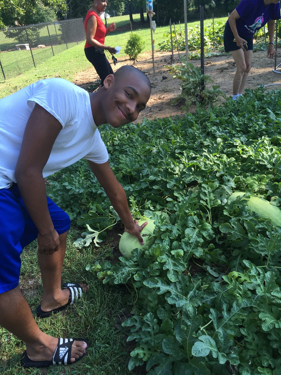 AgEd_With_SB's tweet photo. #SAEvisit FFA member, Nate has been getting in project hours all summer! Check out those OG watermelons! 🍉he’s got quite the green thumb! @OakGroveHS @dcsnc @NCFFA https://t.co/z8y4jCQ9jJ