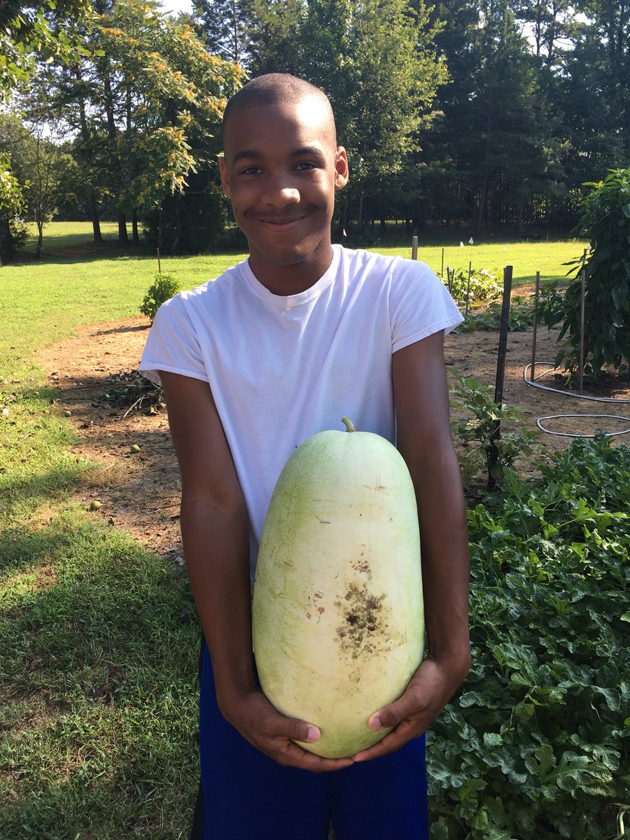 AgEd_With_SB's tweet photo. #SAEvisit FFA member, Nate has been getting in project hours all summer! Check out those OG watermelons! 🍉he’s got quite the green thumb! @OakGroveHS @dcsnc @NCFFA https://t.co/z8y4jCQ9jJ