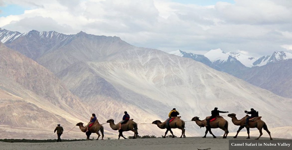 CreatingYoga's tweet image. Calling All Yoga Teachers! Give your students an experience of a Lifetime on our Ladakh, North India Retreat. Highlights: Camping under the stars, camel &amp;amp; safari experience, Buddhist Monasteries &amp;amp; delicious food! We plan all of the Logistics, while you enjoy with your students.