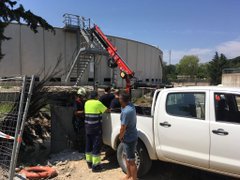 Ver imagen en Twitter