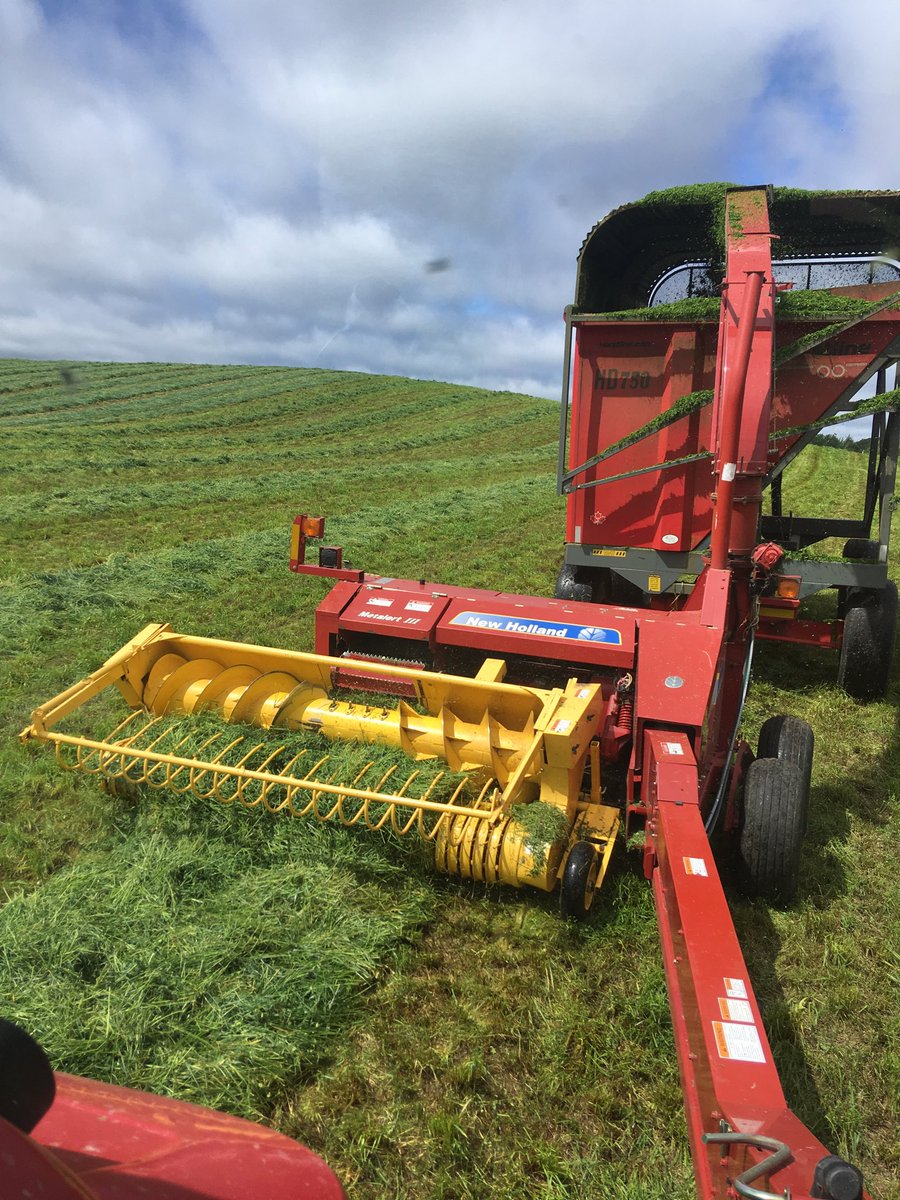 Chopping 2nd cut