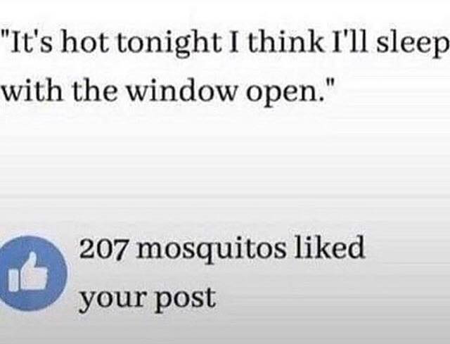 jeffoneilshow's tweet photo. βI just need some fresh ai--nevermind"
#SummerProblems
#DangSkeeters https://t.co/Aazop2cvlt