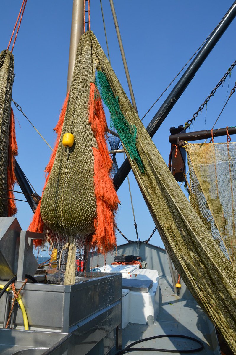 Deze week stapte collega <a href="/EllenManac/">E. van den Manacker</a> aan boord van de garnalenkotter HA-4 van @simonkoornstra. Bekijk hier enkele sfeerbeelden van haar visserijtrip. #garnalenvisserij #Waddenzee.