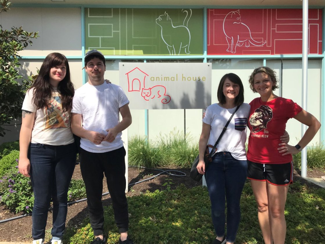 AnimalHouseCats's tweet photo. Thank you, Fusion Marketing, for sending your wonderful employees once again to spend some quality time with our kitties! They absolutely loved getting to know all the new folks and hope you visit them again soon :)

#volunteer #animalhousestlcats https://t.co/5siAua0bGO
