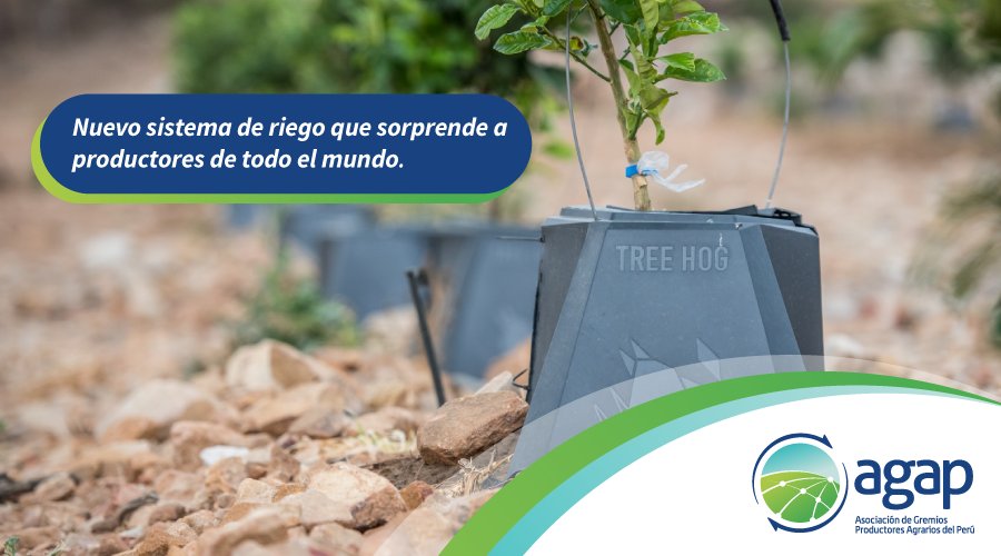 AGAP_PERU's tweet photo. #Treehog, un nuevo invento de riego para productores de #fruta que ha tenido resultados sorprendentes. Conoce más: https://t.co/SSNhgCVnNq https://t.co/x52pNTYBxh