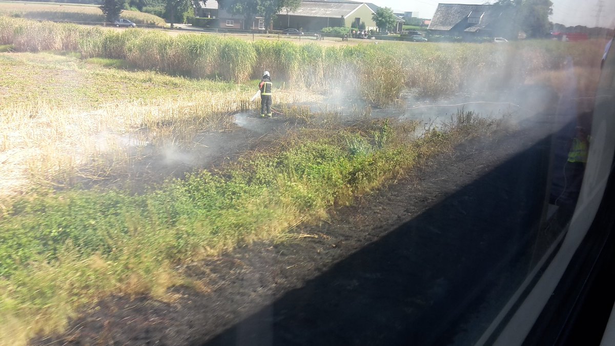 Theo Jans 🌱🌿🌳🌳 tweet media