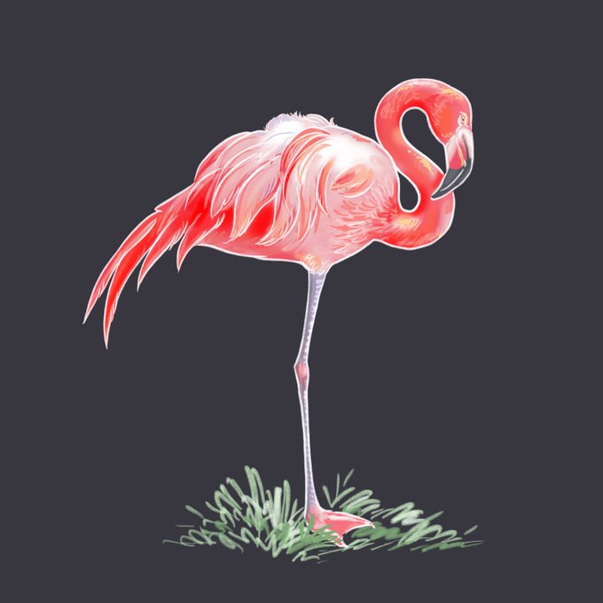 Lamingo 高画質 のtwitterイラスト検索結果 Lamingo 高画質 のtwitterイラスト検索結果