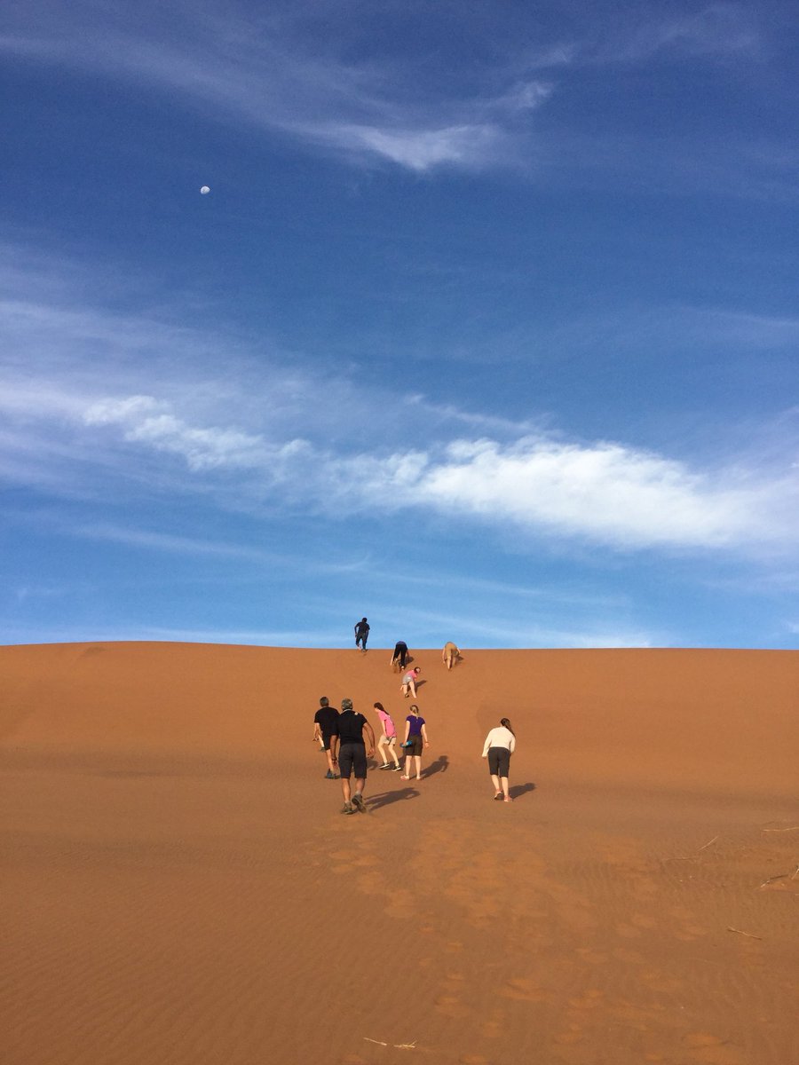 mountnamibia's tweet photo. Catch up tweet #5 Goagabeb research centre 🧗🏻‍♀️🦎🐜🦂#himumanddad #sandy #noscorpiansnoproblem https://t.co/MNMEN3zod4