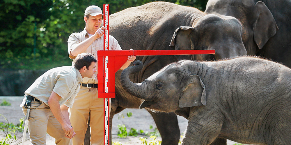 iSpring_RU's tweet image. Практическое руководство, как использовать отчеты в системе дистанционного обучения. 
12 главных метрик, которые необходимы, чтобы корпоративное обучение стало успешным.
ispring.ru/elearning-insi…
#elearning #ispring #online