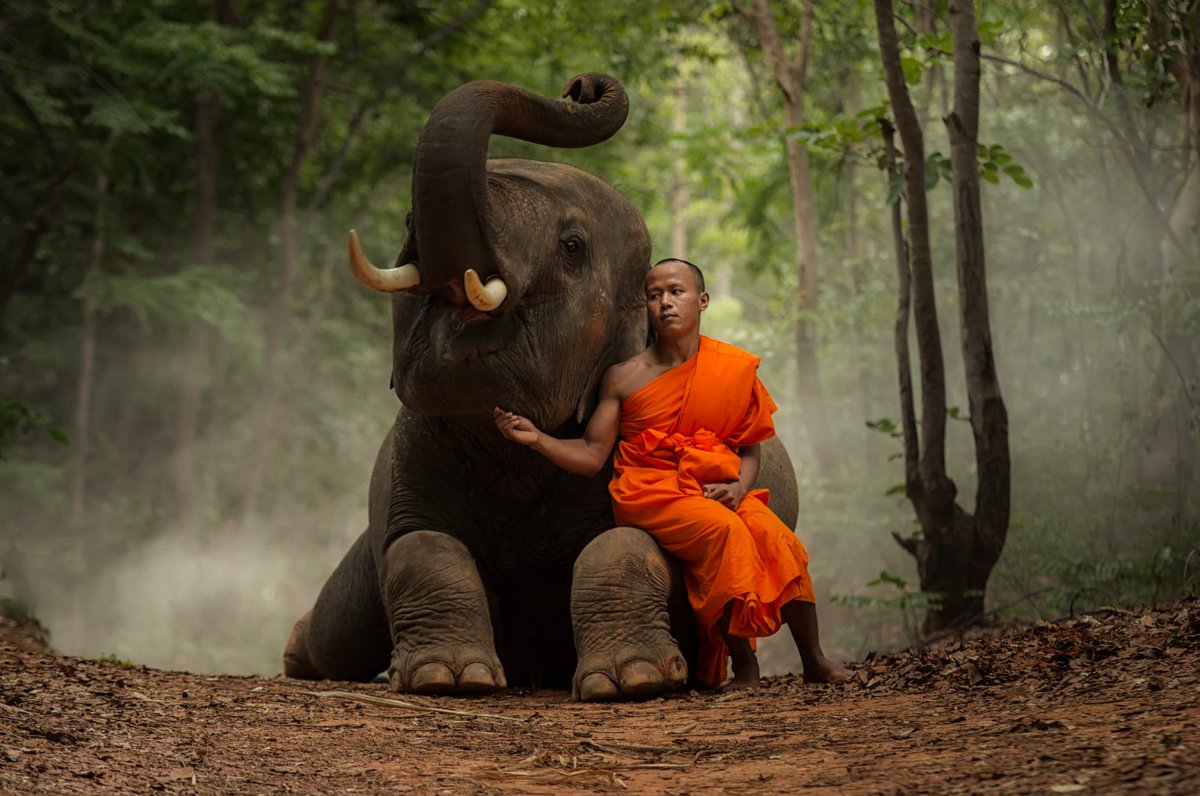 Respect life
Revere life.
There is nothing more holy than life
Nothing more divine than life.

Osho
Pic Visoot Uthairam