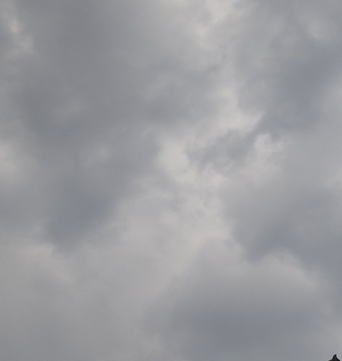 Cameron_Fiona's tweet image. When your 🌧️ dance worked! From #Heatwave to #Rainwave