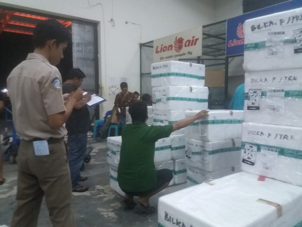 BKIPMTarakan's tweet photo. #OneHealthKIPM 
27.07.2018
Aktivitas Pengawasan Malam di Pintu pemasukan Bandara Juwata Tarakan (Cargo) 
Lion JT 0268 (From SUB)
Pkl. 20.27 Wita
DOMAS : 101 Box
Benih Lele : 10.000 hds
Nener : 250.000 hds
Benur Windu : 4.430.400
#kerjagembira
#semakinsolid https://t.co/PwPn0pI7tL