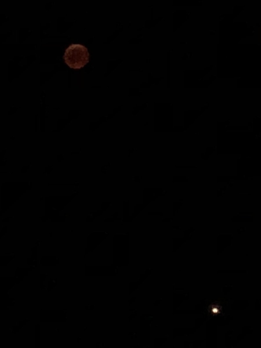 aldo_boria's tweet photo. Total lunar #eclipse and #Mars https://t.co/hDS3iSsgsB