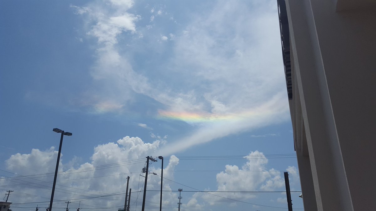 Circumhorizontal arc "rainbow" over tampa? #flwx