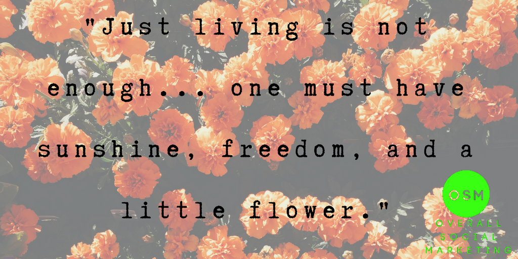 overall_social's tweet photo. Just living is never enough ...

#googleplusmarketing
#googleplusmotivation 
#googleplusfunpage 
#instagramposts 
#instagrammotivation 
#instagramfunpage #instagramads 
#motivationalquotes 
#motivateyourday 
#overallsocialmarketing #OSM https://t.co/TVd2gqxn42