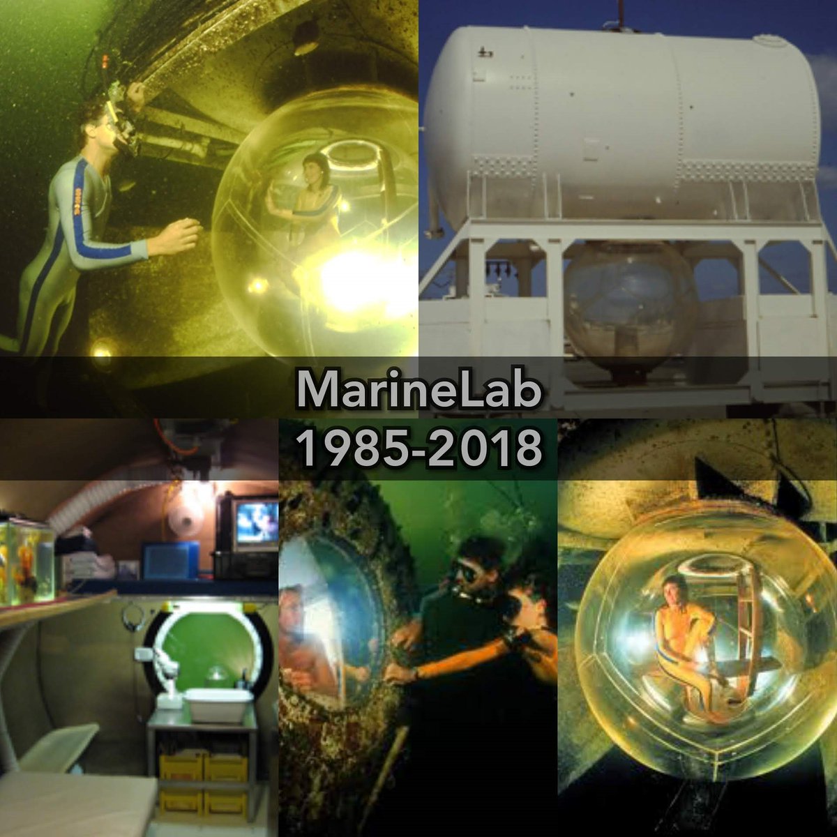 AtlantisSeaCol's tweet image. Underwater habitat week : MarineLab #marinelabkeylargo #marinelab #colonizetheocean #underwaterresort #underwaterexplorer #underwaterhotel #underwaterhabitat #underwater #scubapro #scubadiver #scuba #scubadivers