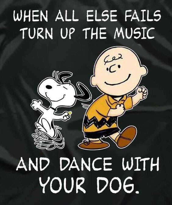 elsk9solutions's tweet photo. Doglove #dancing #puppylove #happinesswithyourdog https://t.co/VTmIcngife