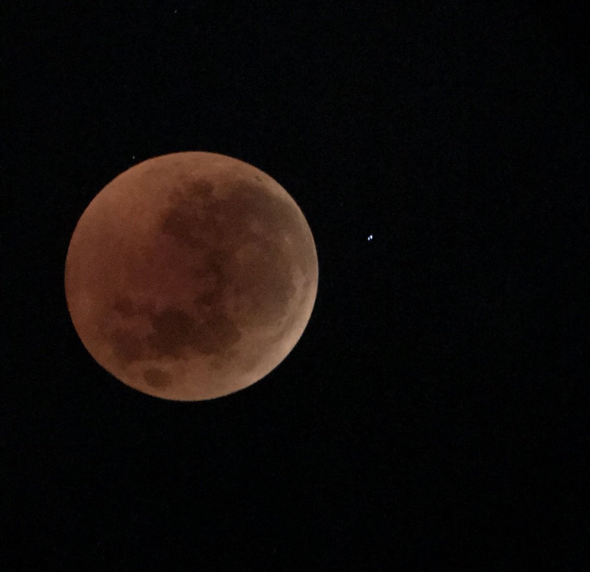 Thanks to <a href="/CompassInsureZA/">Compass Insure</a> we have an amazing sighting of the lunar eclipse with my Navigator Award Telescope. Picture taken through telescope lense. Zero filter and edit. <a href="/PaulJCarragher/">Paul Carragher</a>