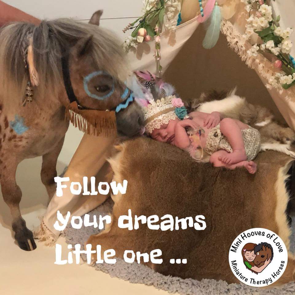 MHOLminis's tweet image. Follow your passion, be prepared to work hard and sacrifice and above all don’t let anyone limit your dreams.  ~ Donovan Bailey #worldsfastestman

#Therapyhorse #Hope had honor to be in this precious 👶 photos the 🤱🙆‍♂️ made a generous donation to MHOL. 💗
 #FollowYourDreams