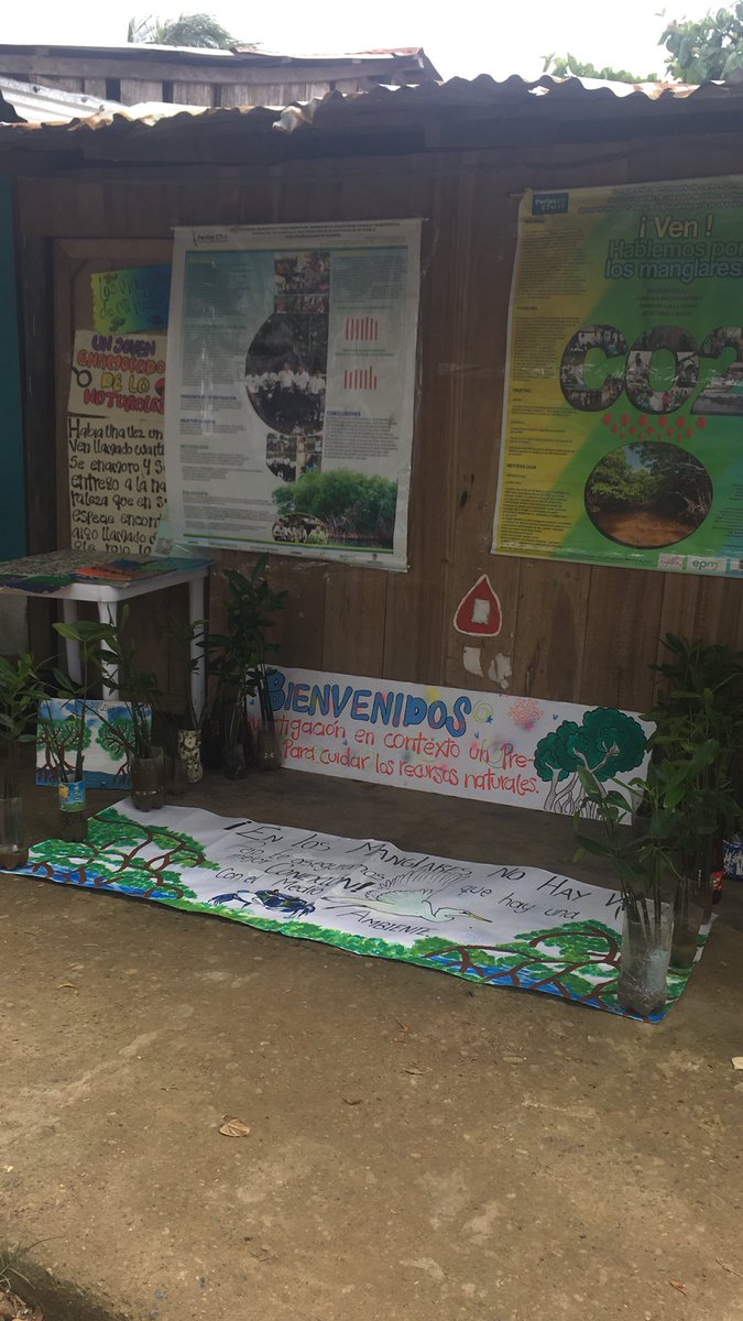 naristiz's tweet photo. #BocasDelAtrato @MariaFernandaP4 @youthmappers #researchfellowship #humanitarianmapping #Mangroves #sustaindev @naristiz
#Resilience
#Turbo
#GeoSIG
#ElUnoBay
@Mangle_Blanco
@NataliaSArruda
@cienciaUdeA
@ingenieriaUdeA https://t.co/BMdfwHu5CA