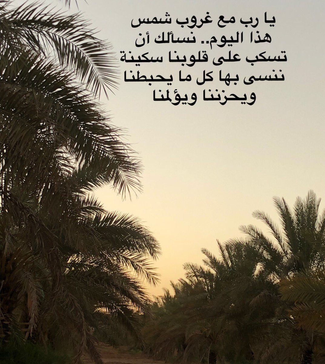 g_alshael's tweet photo. يا رب مع غروب شمس هذا اليوم.. نسألك أن تسكب على قلوبنا سكينة ننسى بها كل ما يحبطنا ويحزننا ويؤلمنا https://t.co/XkbPy9RWZb