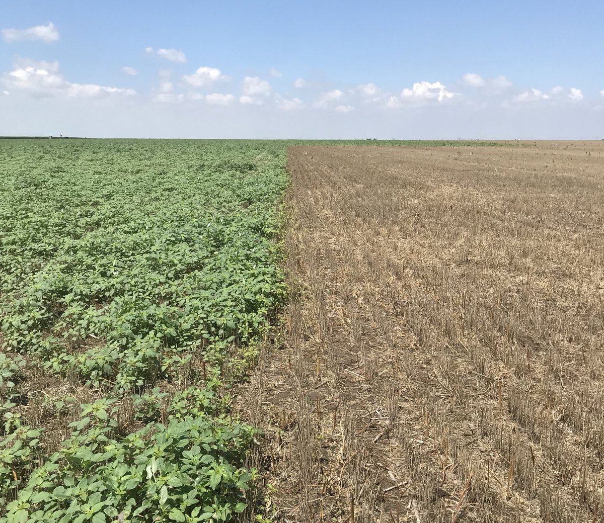 Joel Heppell tweet media