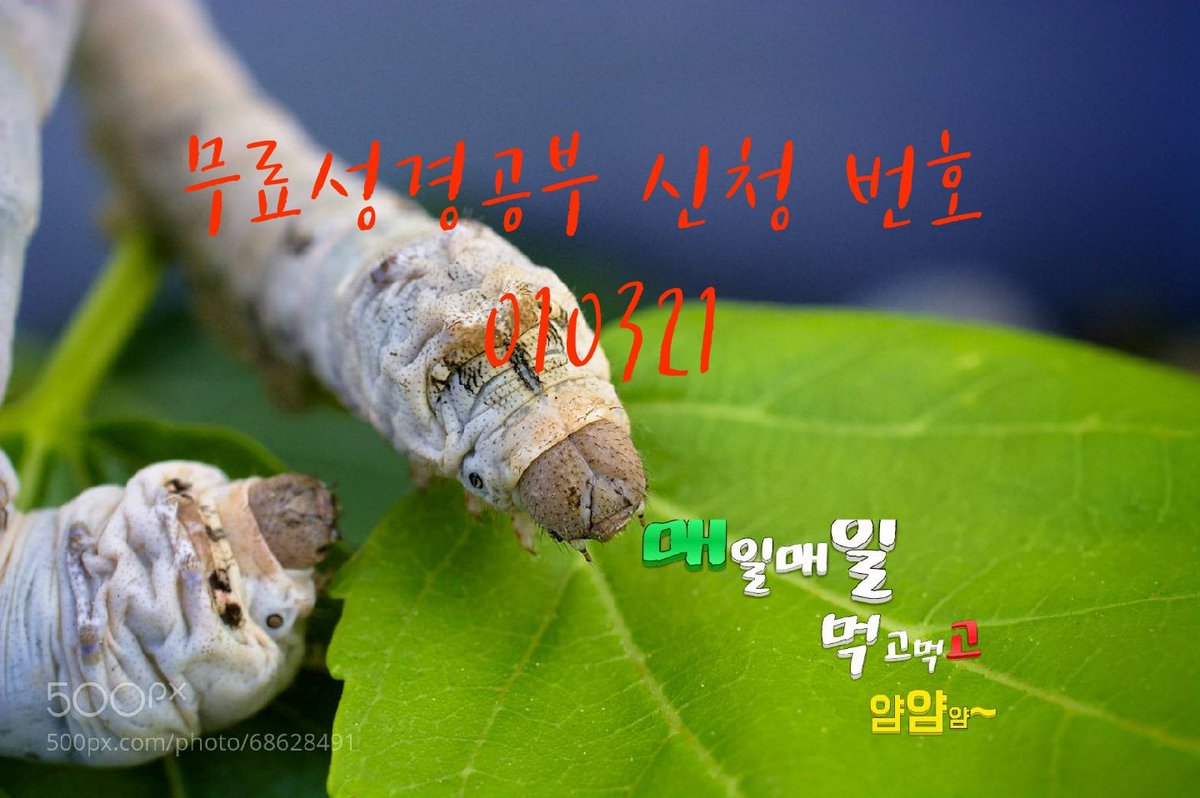 누에는 뽕잎을 먹어야만 살듯 하나님의 자녀는 
하나님의 말씀을 먹어야 살수 있어!
하나님의 자녀라면 하나님의 씨를 가지는게 당연지사 ~
그 씨 없다면 값없이 거져 주신데요~~!!

youtu.be/eiNCyJU0XVI
#신천지교리비교 #한기총 
🌻무료 성경공부 신청번호 010321
goo.gl/YSf7WE