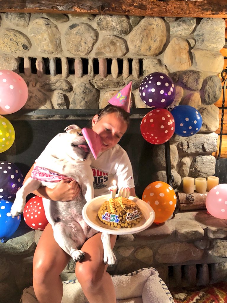 CaseyMai1's tweet photo. My favorite holiday 🎉🐶 https://t.co/NCv09CrUWU