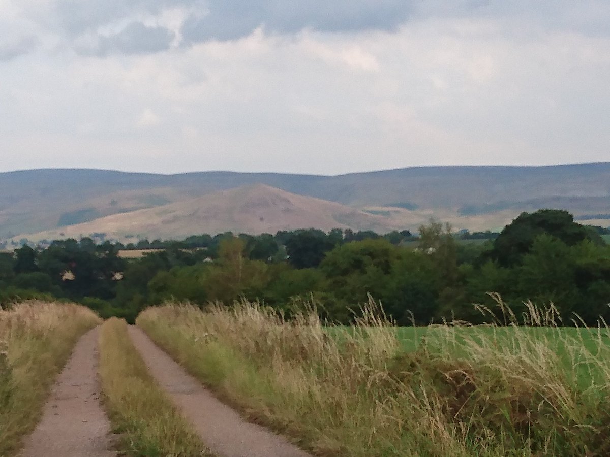 Terry Abraham tweet media