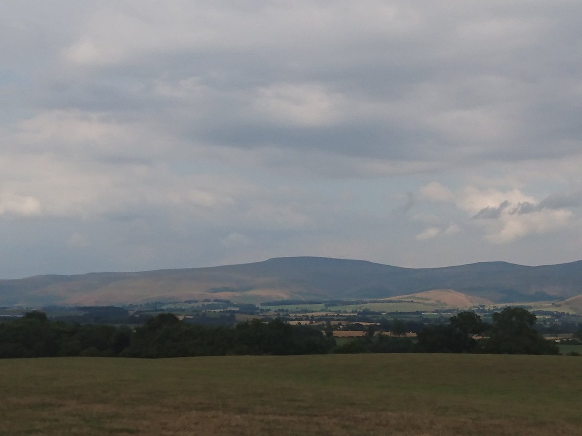 Terry Abraham tweet media