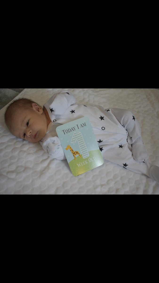 Lewis_Corbett's tweet photo. Finally got my boy home today 💙 https://t.co/CkTQyslag6
