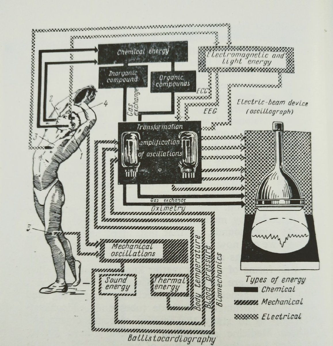 SarahVMarks's tweet photo. 'Studying the functions of the organism with up-to-date technologies' from Yuri Frolov's Work and the Brain (Moscow Foreign Languages Publishing House, 1963) #SovietScience #histsci #scientificillustration https://t.co/mA7tBLlp5H