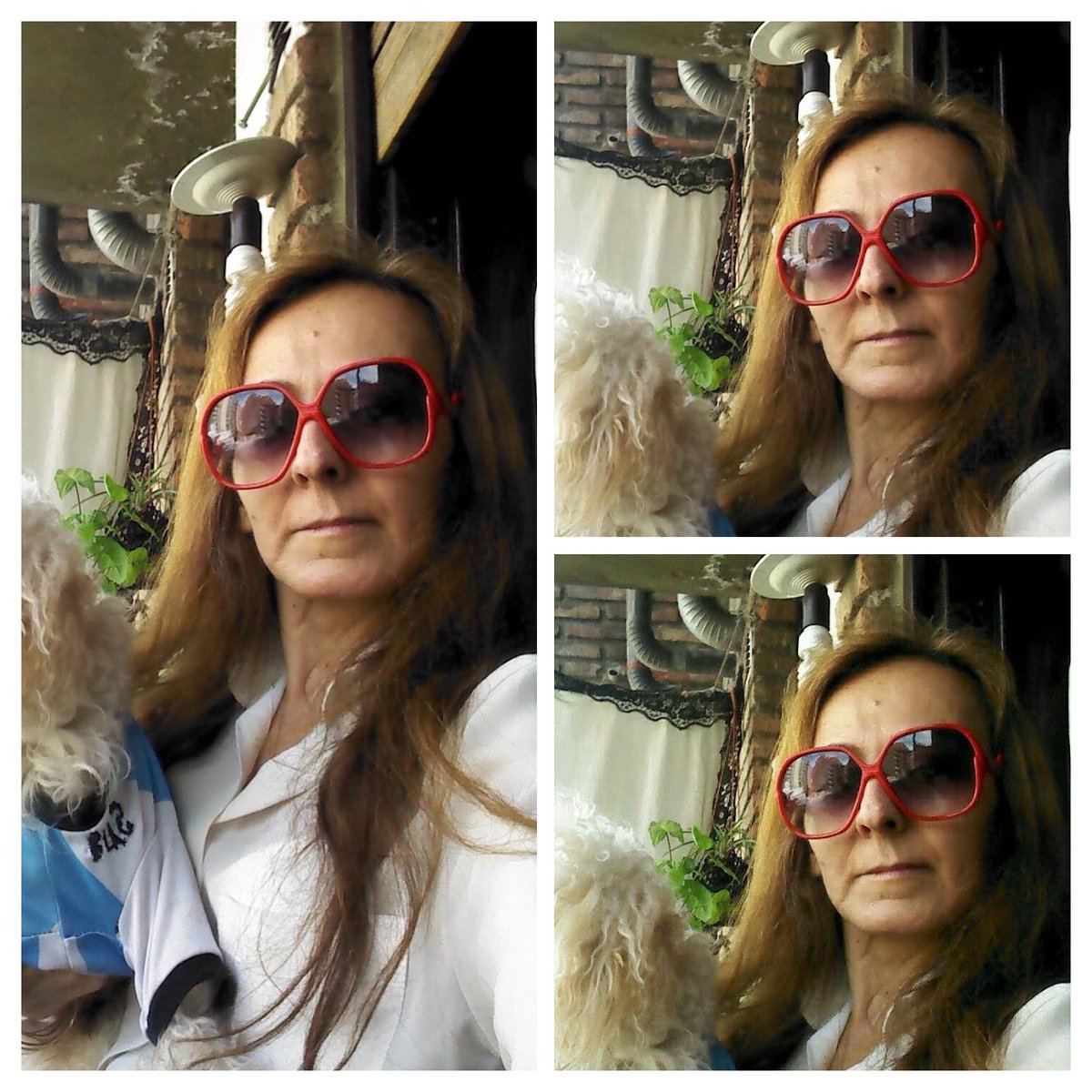 AlePerz7's tweet image. @AlePerz7  #Lentes #Comprados ( tengo boleta c membrete independiente esquina Montevideo) #YoLosComprè !!! Alejandra Beatriz PEREZ